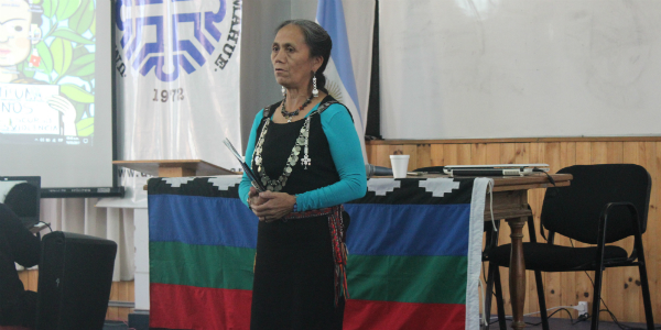 El genocidio que continúa: pueblos originarios y extractivismo