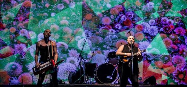 “La cumbia nos mueve el cuerpo y en la transpiración reencontramos nuestra fuerza”