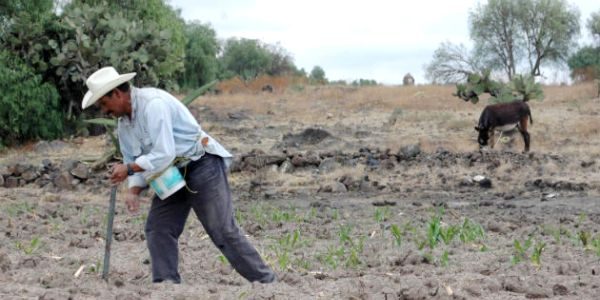 Chile: a 50 años de la Reforma Agraria