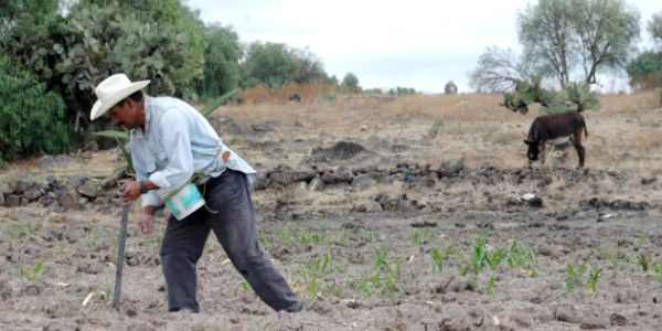 Chile: a 50 años de la Reforma Agraria