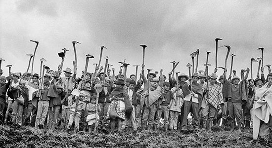 Frente a los TLC: Día Internacional de las Luchas Campesinas