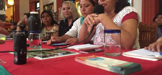 “La primera vez que pude platicar sobre los abusos que me pasaron en el campo”