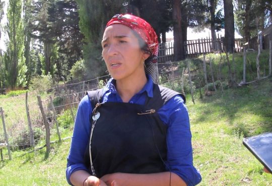 Entrevista a Romina Jones, vocera de la comunidad lof Quemquemtreu